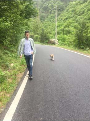 Z6·尊龙「中国区」官方网站