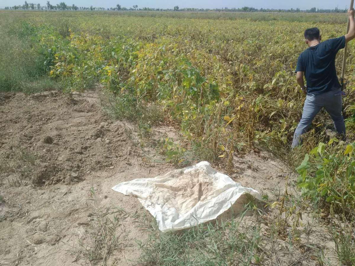 Z6·尊龙「中国区」官方网站