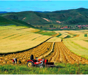 202012081651007952_280x240