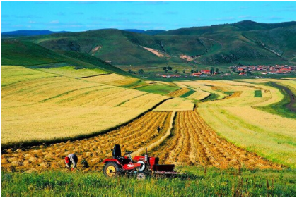 Z6·尊龙「中国区」官方网站