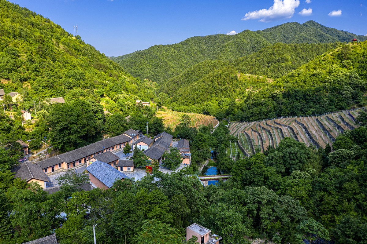 Z6·尊龙「中国区」官方网站