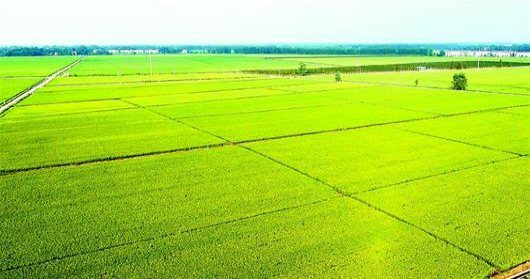 Z6·尊龙「中国区」官方网站