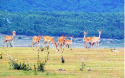 Z6·尊龙「中国区」官方网站