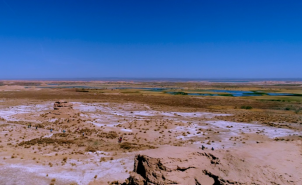 Z6·尊龙「中国区」官方网站