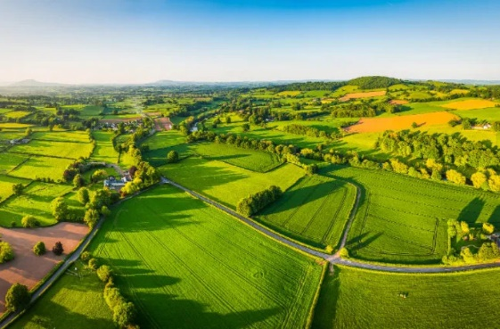 Z6·尊龙「中国区」官方网站