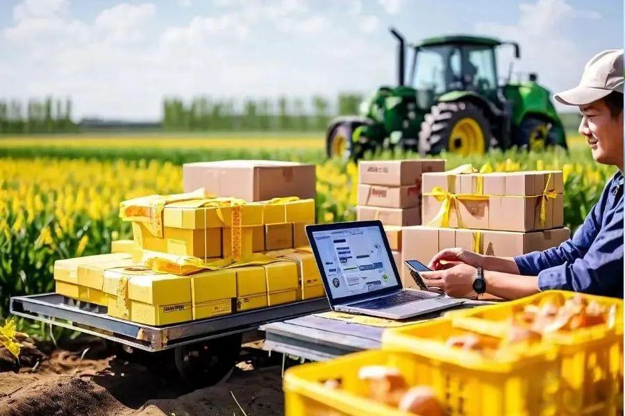 Z6·尊龙「中国区」官方网站