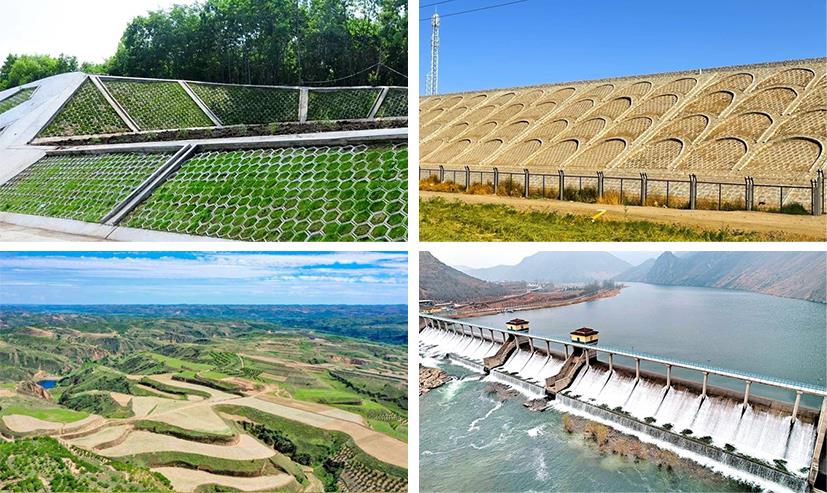 Z6·尊龙「中国区」官方网站