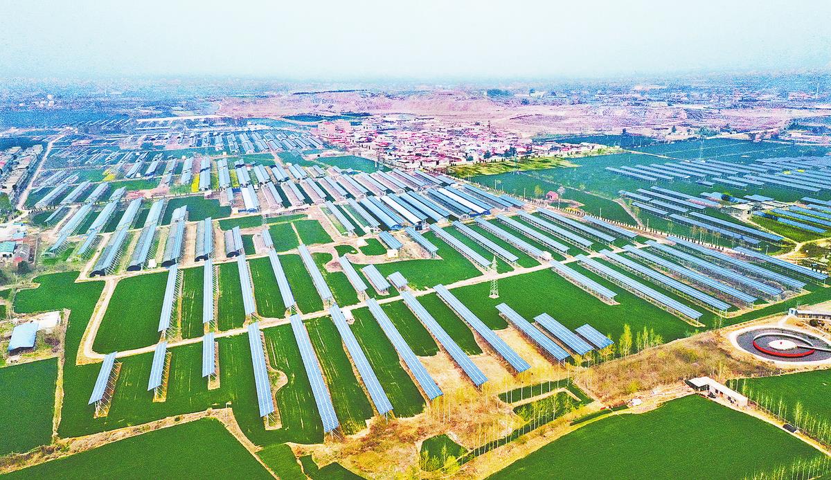 Z6·尊龙「中国区」官方网站