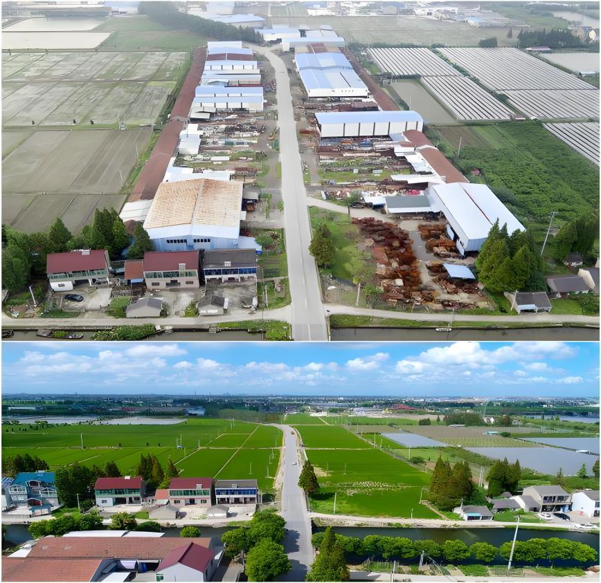 Z6·尊龙「中国区」官方网站